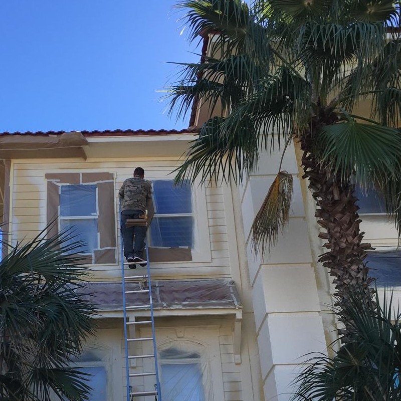 Exterior repaint in progress on a Florida home framed by palm trees